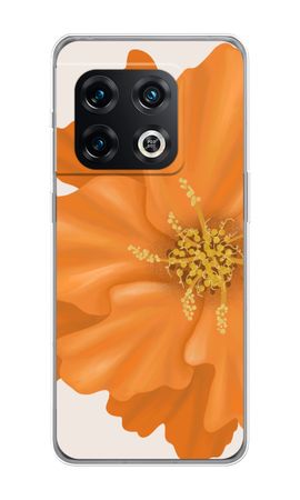 Orange Ellila flower