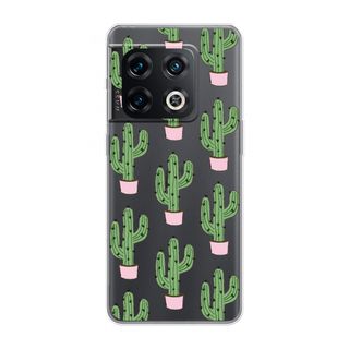 Cactus Lover