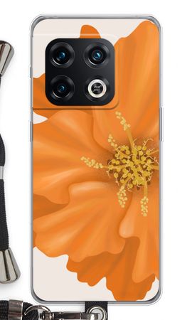 Orange Ellila flower