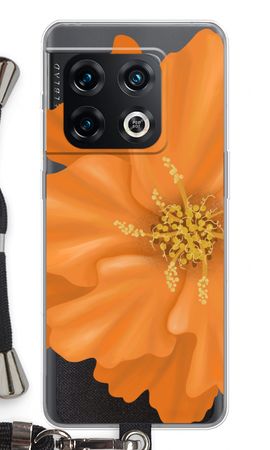 Orange Ellila flower