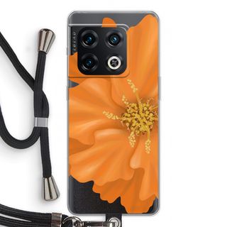 Orange Ellila flower