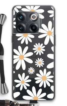 Encore des marguerites