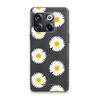Daisies