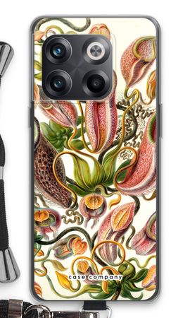 Haeckel Nepenthaceae