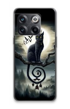 Moonlight Companions