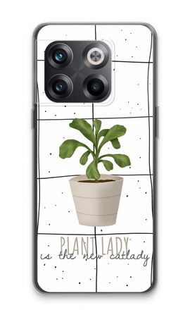 Houseplant on windowpane