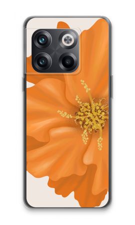 Orange Ellila flower