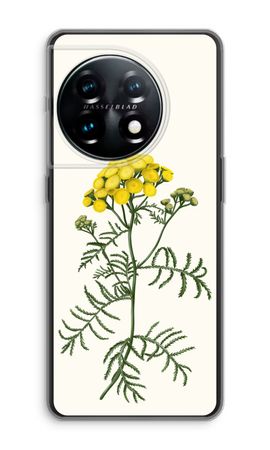 Tansy