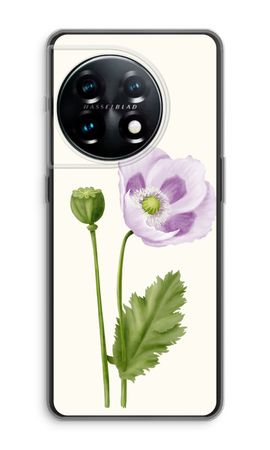 Purple poppy
