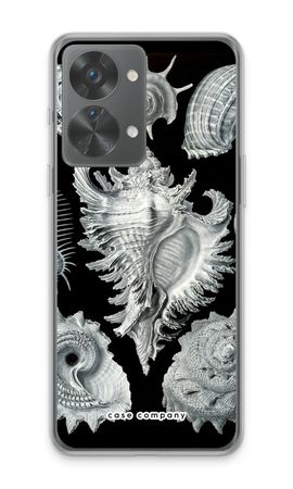 Haeckel Prosobranchia