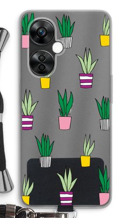 Sanseveria
