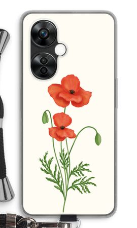Red poppy