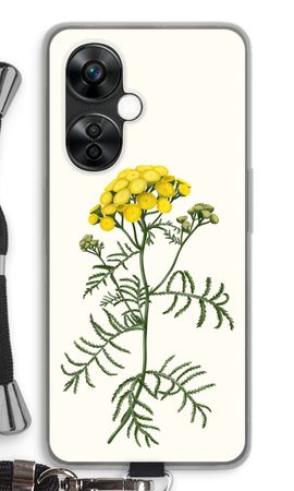Tansy
