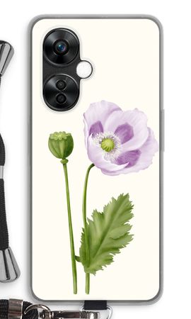 Purple poppy