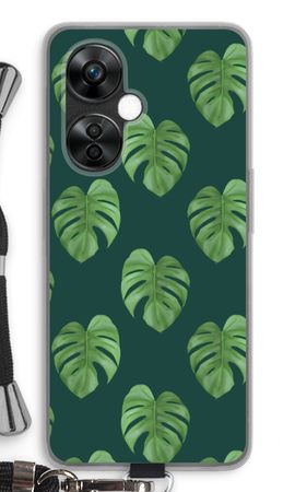 Monstera leaves