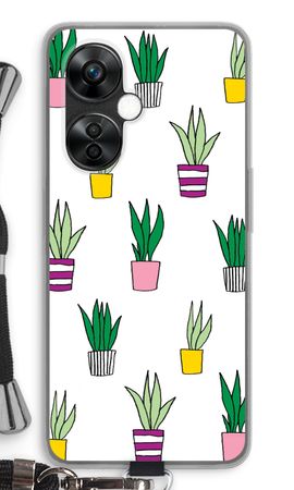 Sanseveria