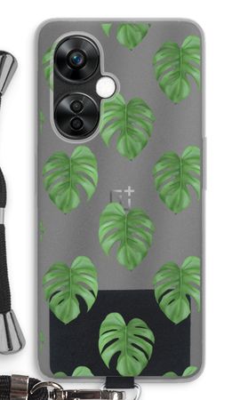 Monstera leaves