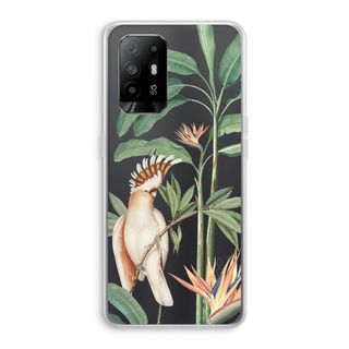 Tropical Parrot