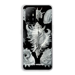 Haeckel Prosobranchia