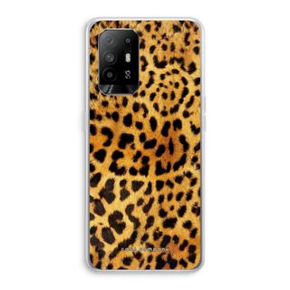 Cheetah