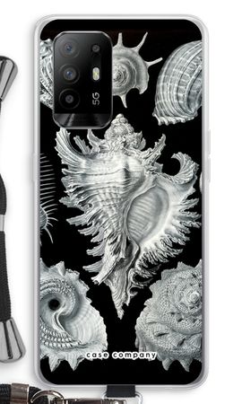 Haeckel Prosobranchia