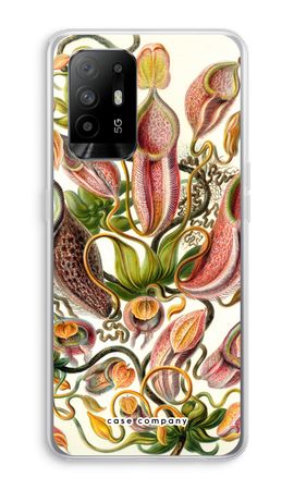 Haeckel Nepenthaceae