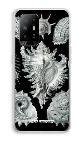 Haeckel Prosobranchia