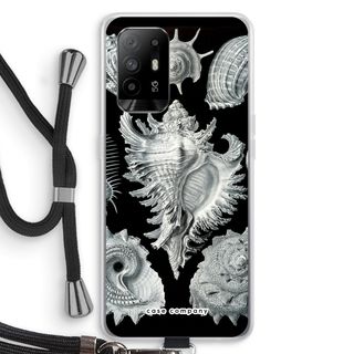 Haeckel Prosobranchia