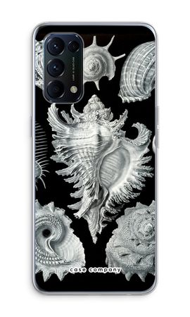 Haeckel Prosobranchia