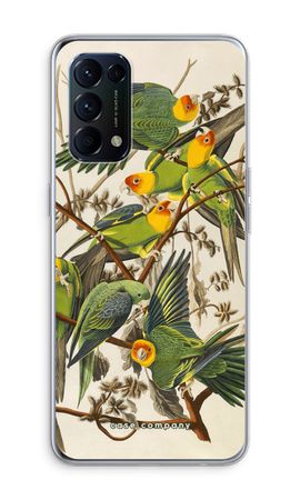 Carolina Parrot