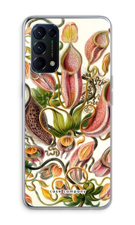 Haeckel Nepenthaceae