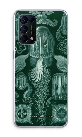 Haeckel Cubomedusae