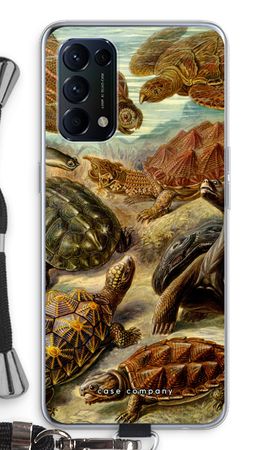 Haeckel Chelonia