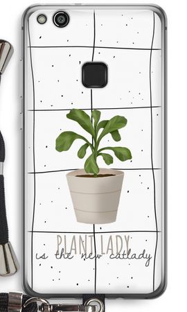 Houseplant on windowpane