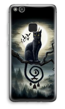 Moonlight Companions