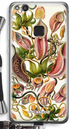 Haeckel Nepenthaceae