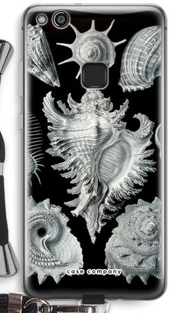 Haeckel Prosobranchia