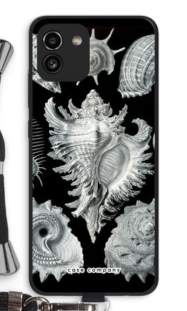 Haeckel Prosobranchia