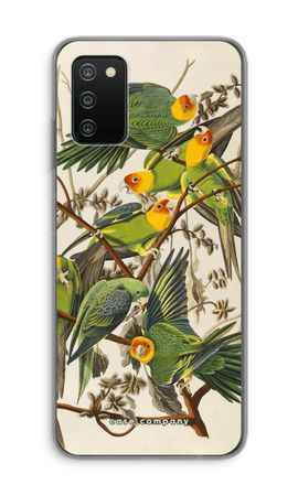 Carolina Parrot