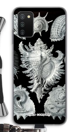 Haeckel Prosobranchia