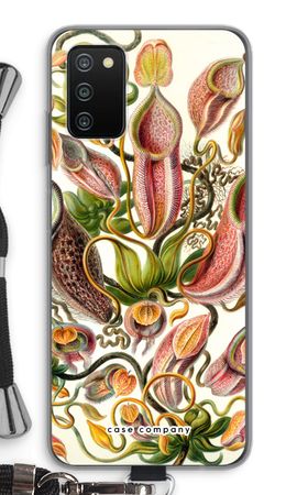 Haeckel Nepenthaceae