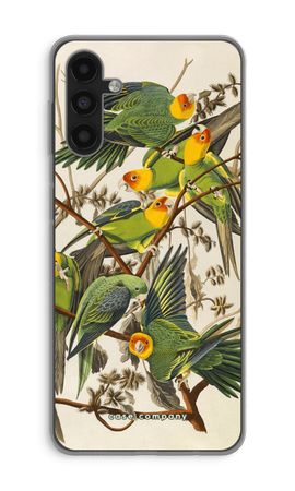 Carolina Parrot