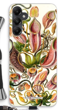 Haeckel Nepenthaceae