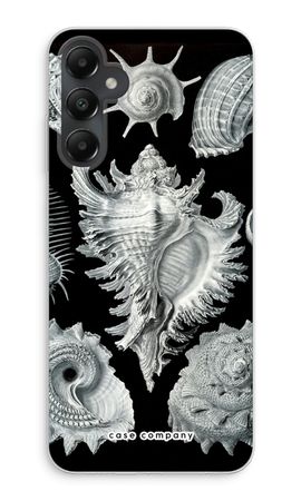 Haeckel Prosobranchia