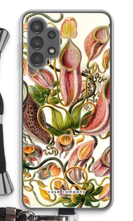 Haeckel Nepenthaceae