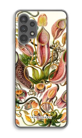 Haeckel Nepenthaceae