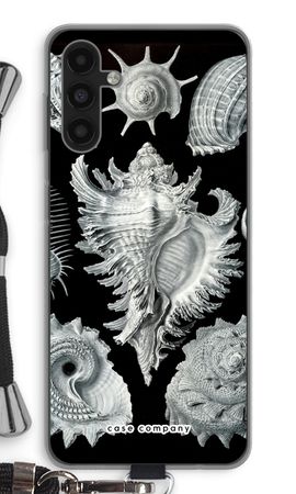 Haeckel Prosobranchia