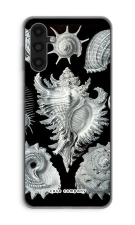 Haeckel Prosobranchia