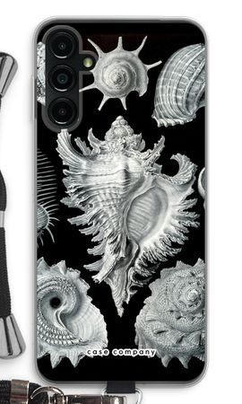 Haeckel Prosobranchia