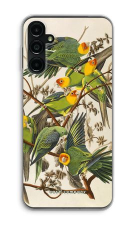 Carolina Parrot